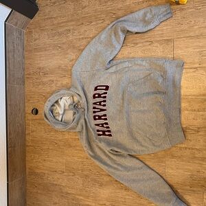 Vintage Gray Harvard Hoodie small/medium